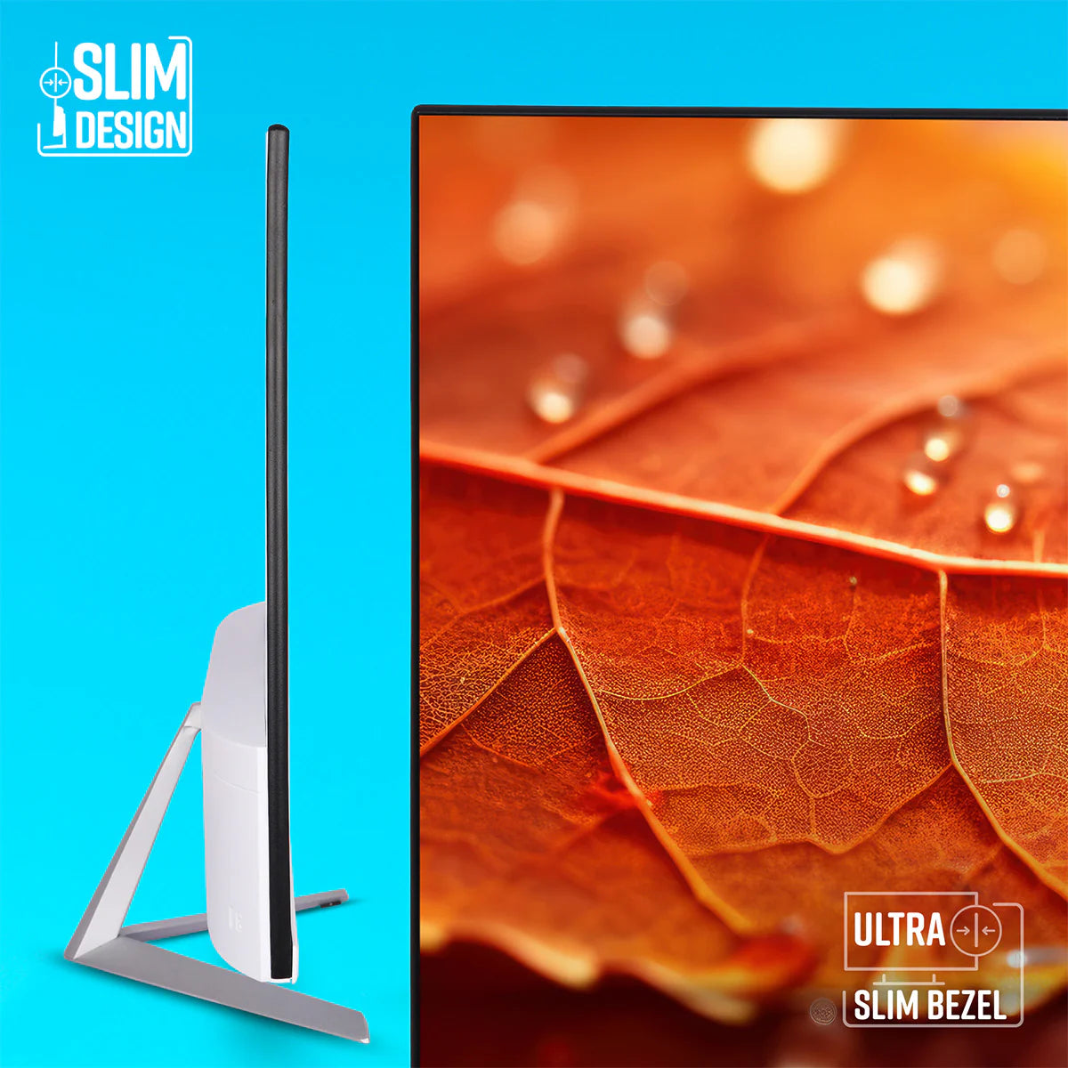 ZEBRONICS EA124 24″ FHD LED Monitor